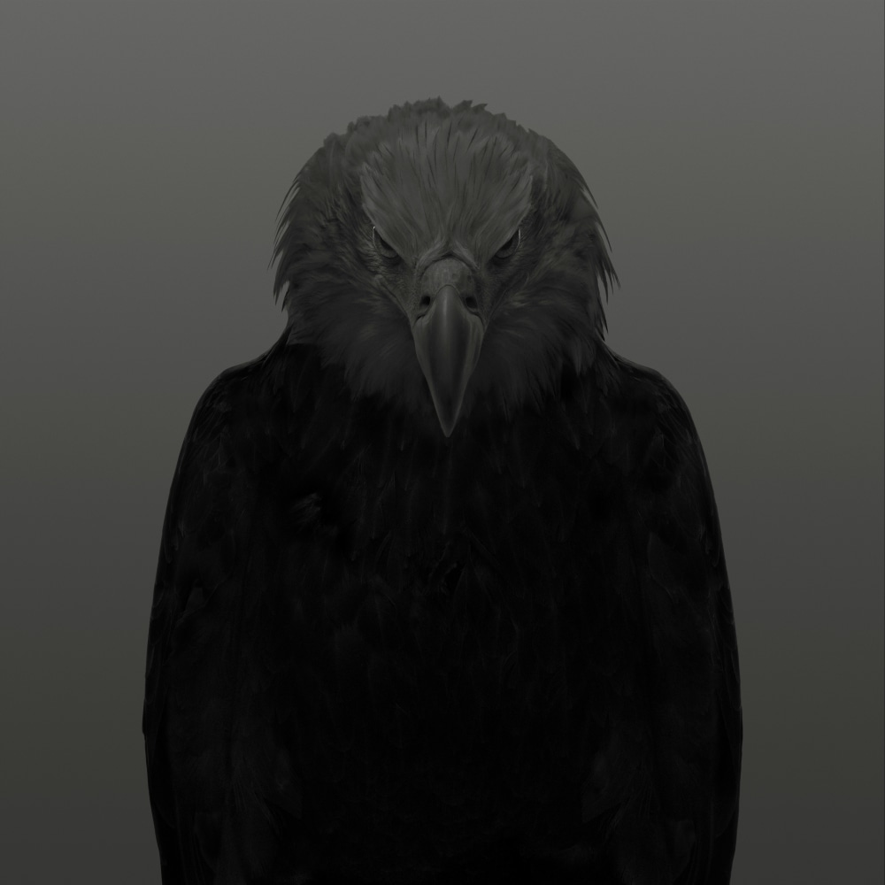 Dean West  Bald Eagle # 1, American West, 2025