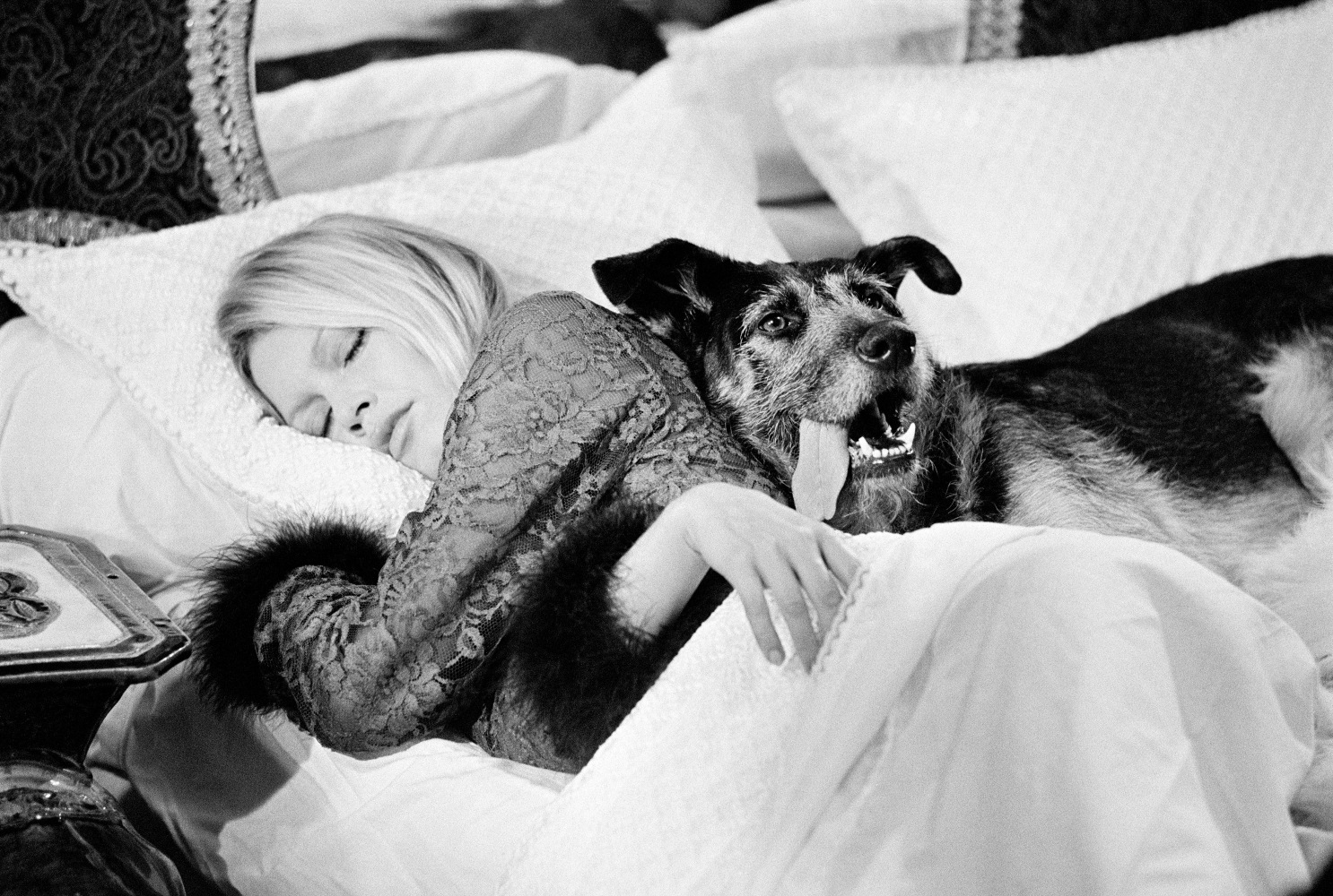 Terry O'Neill, Brigitte Bardot with Dog, 1970