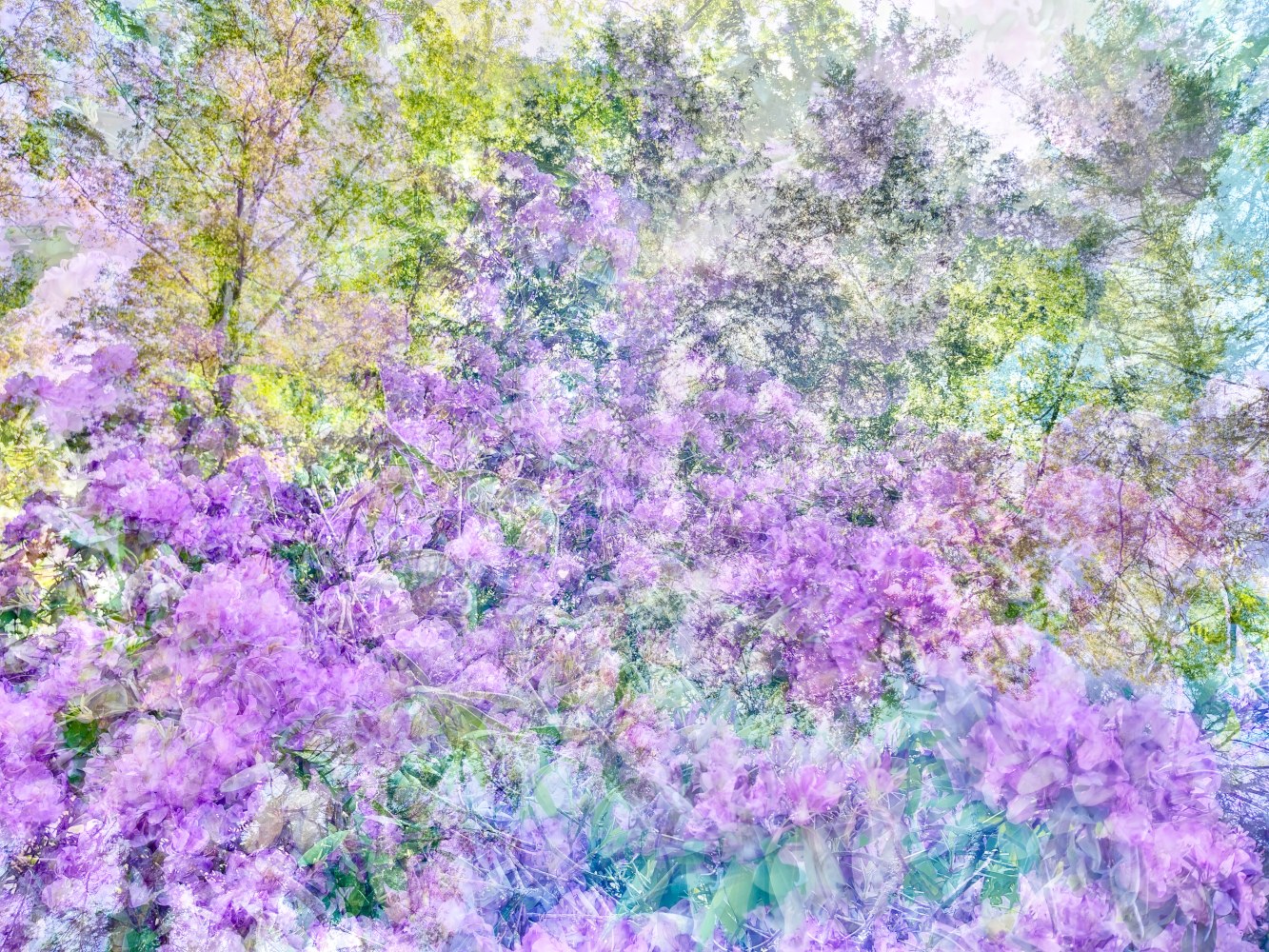 Stephen Wilkes, Spring # 1 Rhododendron Tapestry, 2021