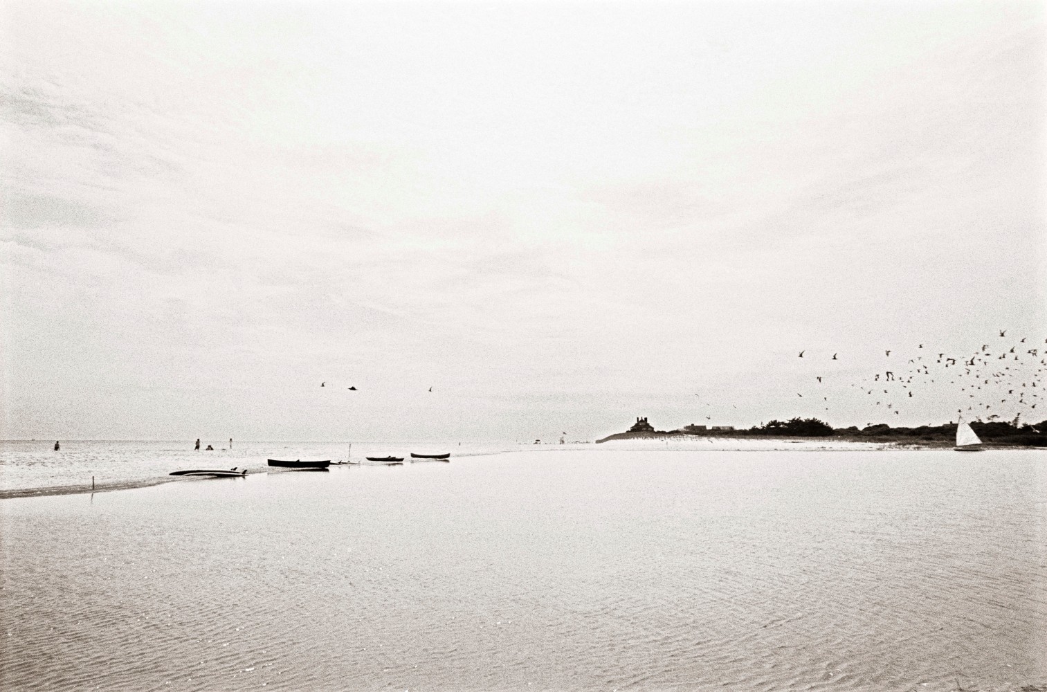 Christophe von Hohenberg  Georgica pond Ocean view
