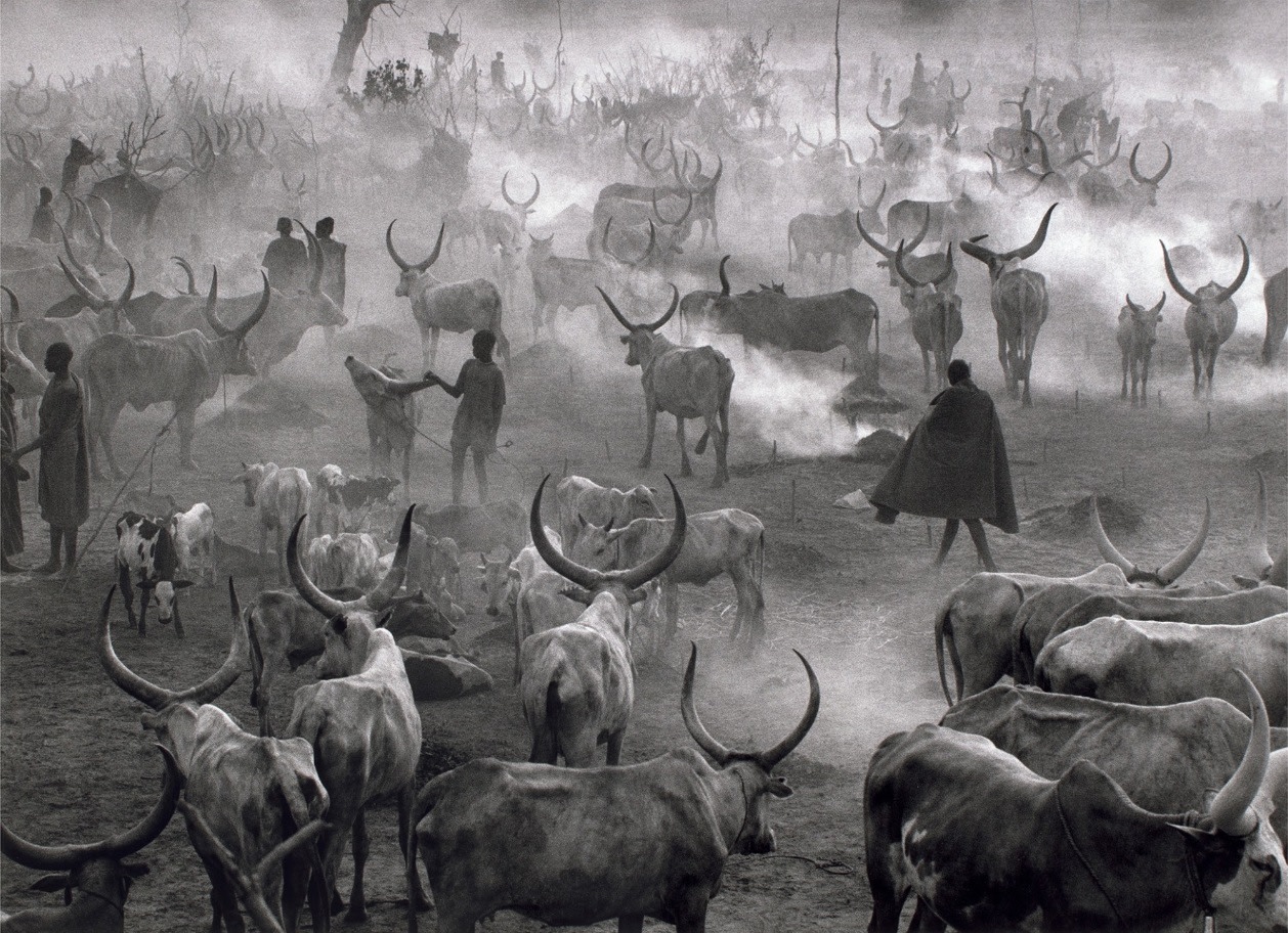 Sebastião Salgado (b. 1944)  Dinka Cattle Camp of Amak, Southern Sudan, 2006