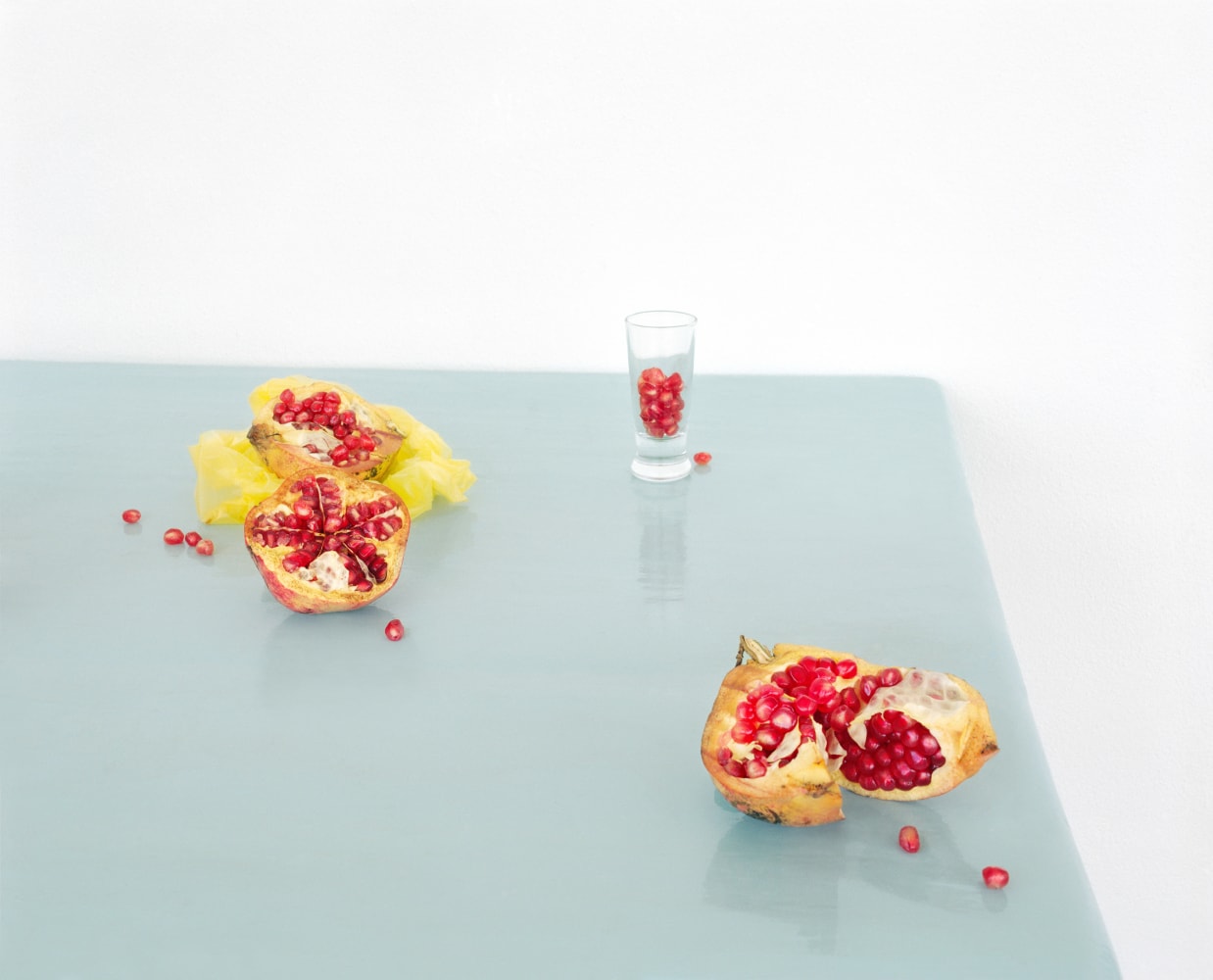 David Halliday, Pomegranate, on Blue, 2013