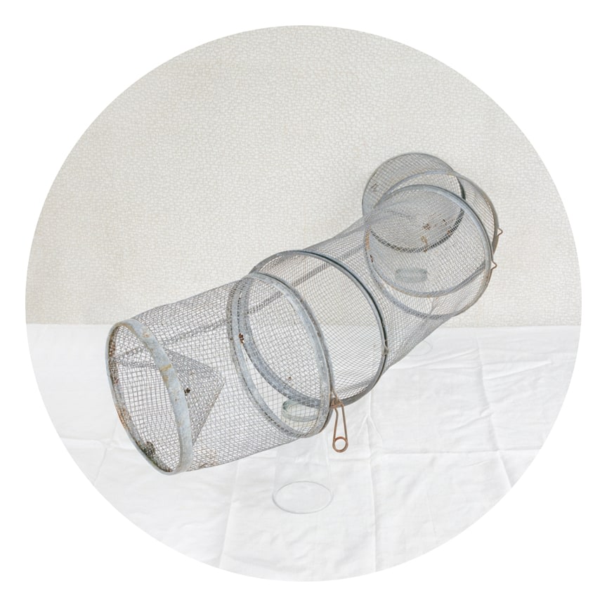 David Halliday, Minnow Catch, 2011
