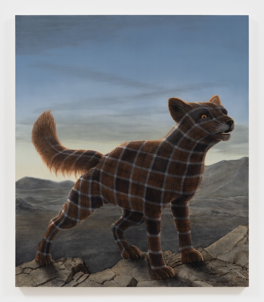 Sean Landers

Arctic Fox

2014

Oil on linen

52 x 45 inches

132.1 x 114.3 cm

(LS 14/027)