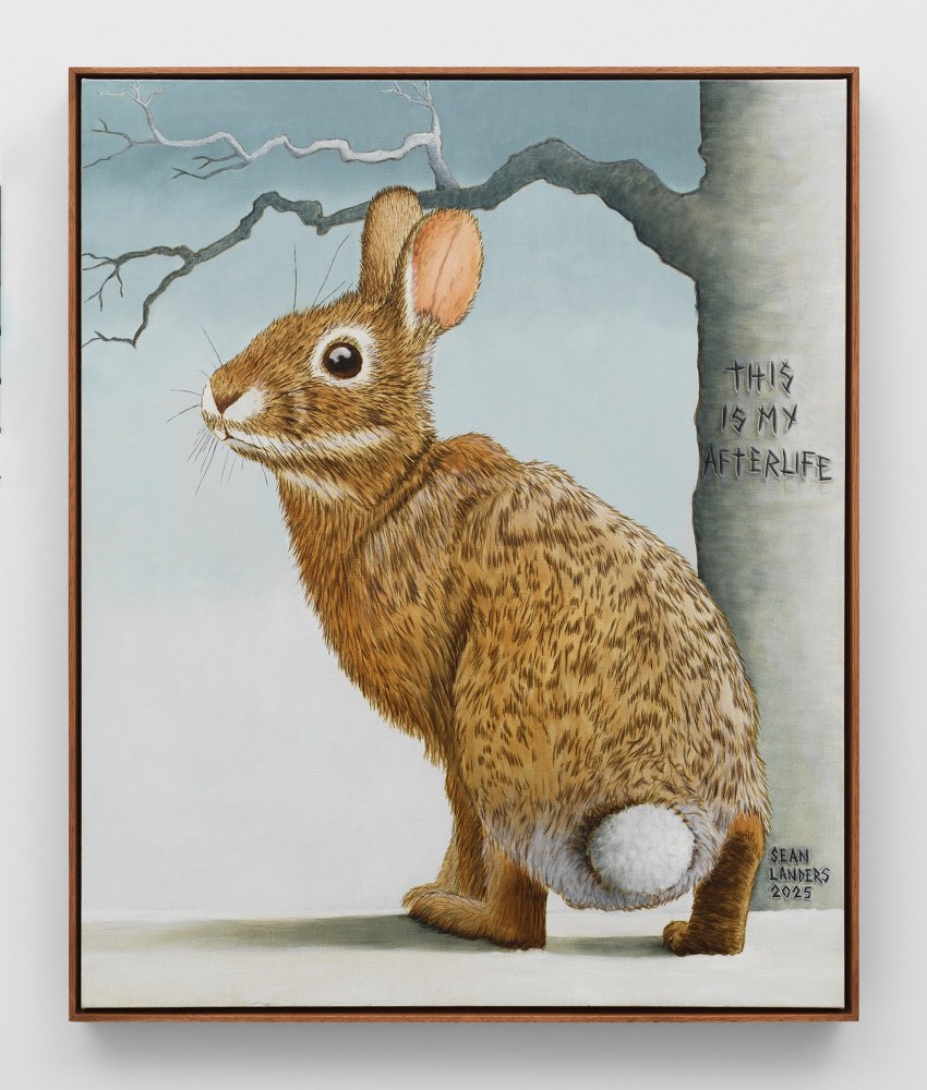 Sean Landers

Afterlife

2025

Oil on linen

35 x 29 inches

88.9 x 73.7 cm

(LS 25/013)