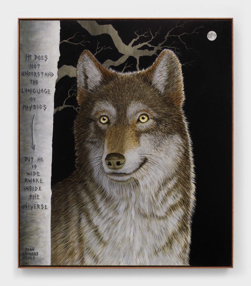 Sean Landers

Wide Awake

2025

Oil on linen

45 x 39 inches

114.3 x 99.1 cm

(LS 25/011)