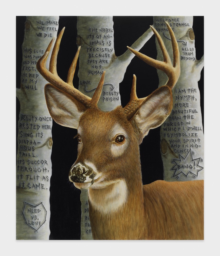 Sean Landers

Bang!

2023

Oil on linen

36 x 30 inches

91.4 x 76.2 cm

(LS 23/009)