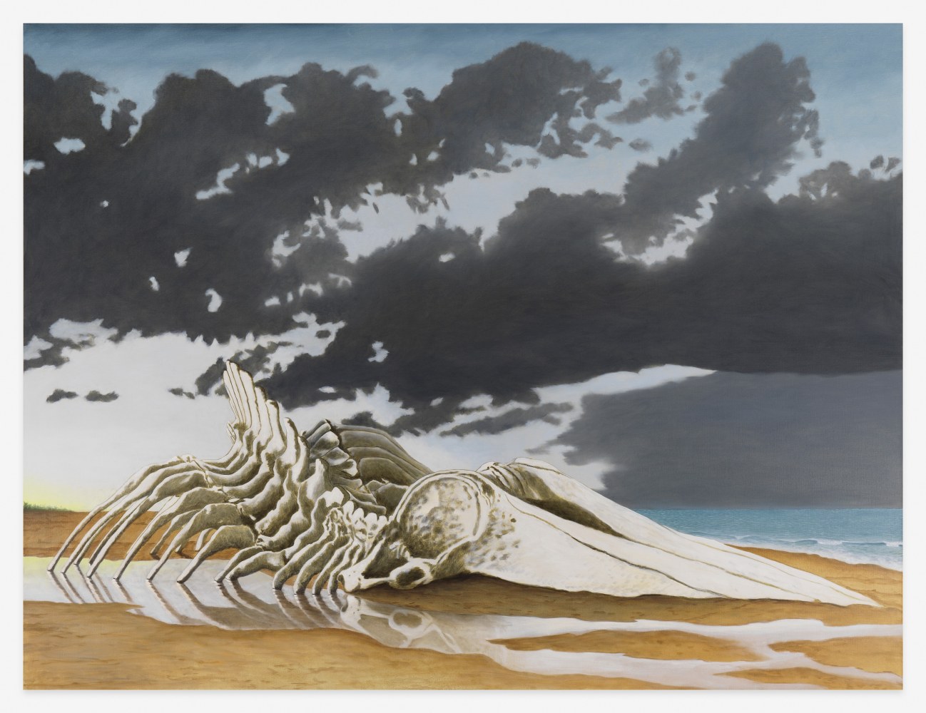 Sean Landers

Sperm Whale Skeleton II

2023

Oil on linen

70 x 92 inches

177.8 x 233.7 cm