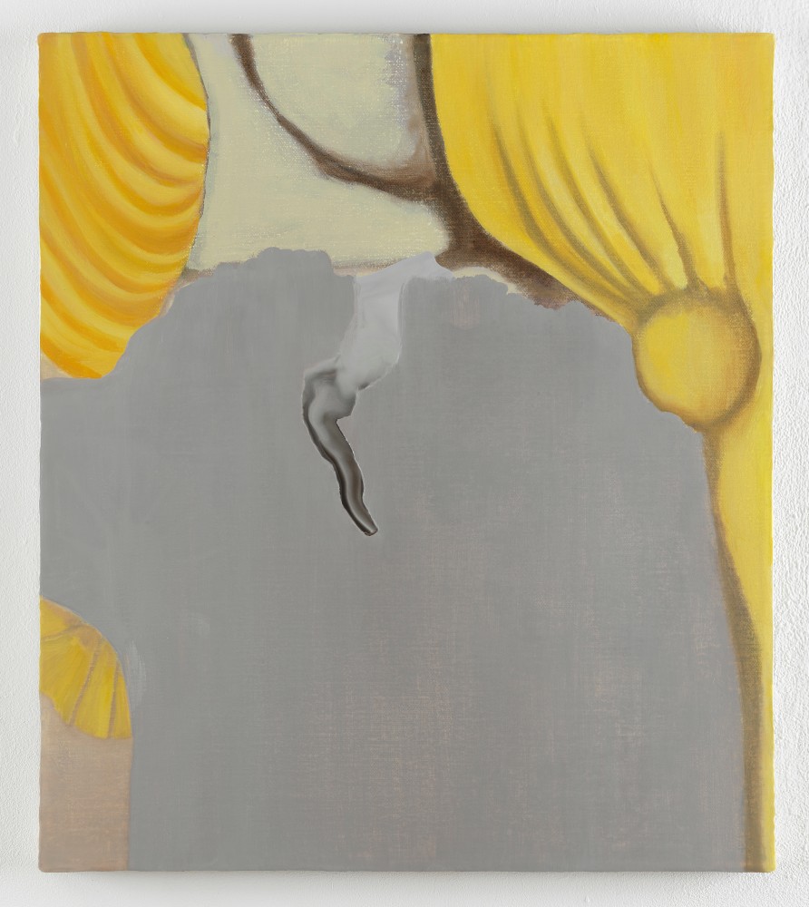 Rezi van Lankveld

Sabotage, 2025

Signed and dated verso

Oil on canvas

27 1/8 x 22 7/8 in
69 x 58 cm

(RVL 25/009)