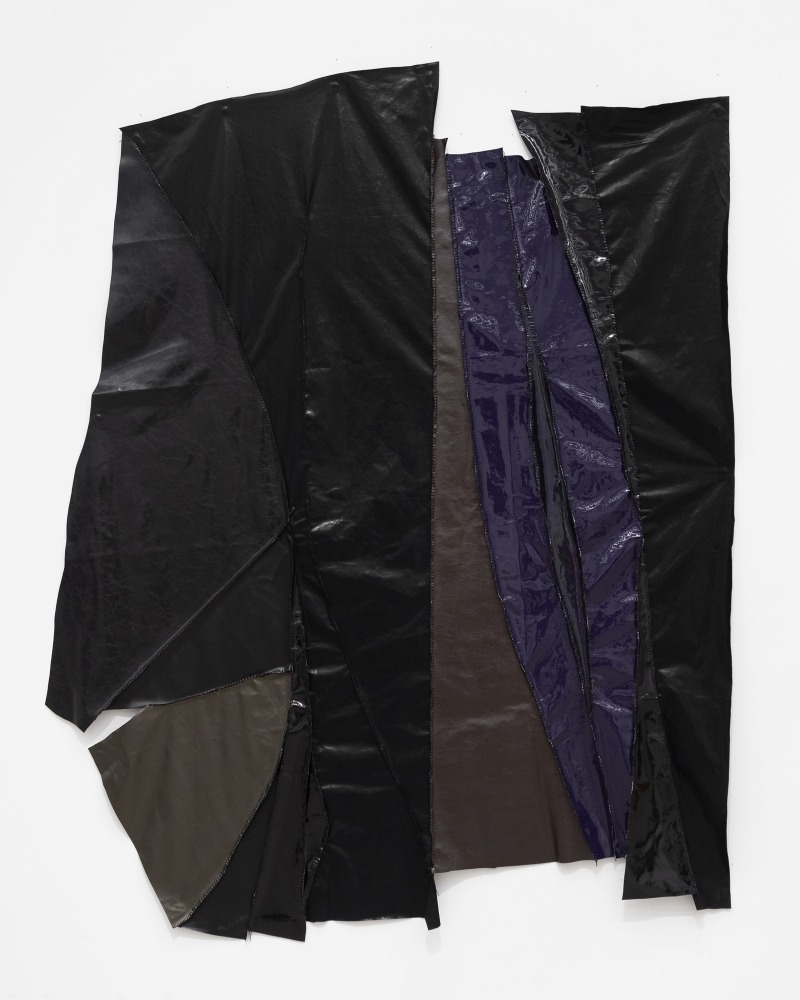 Rodney McMillian

Sky (Untitled) VIII

2022

Vinyl and thread

110 x 88 inches

279.4 x 223.5 cm

(RM 22/026)