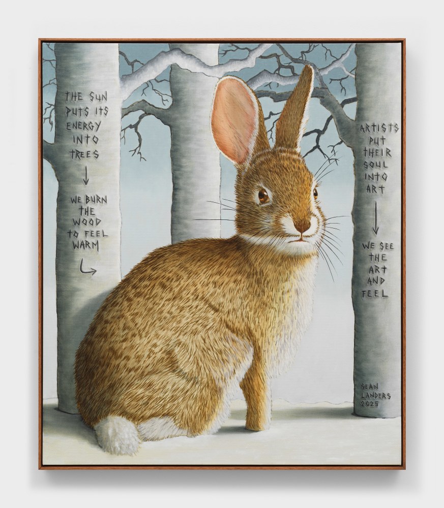 Sean Landers

See and Feel

2025

Oil on linen

41 x 35 inches

104.1 x 88.9 cm

(LS 25/016)