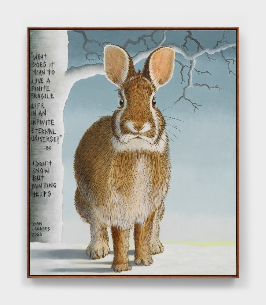 Sean Landers

Infinite Eternal

2025

Oil on linen

39 x 33 inches

99.1 x 83.8 cm

(LS 25/014)