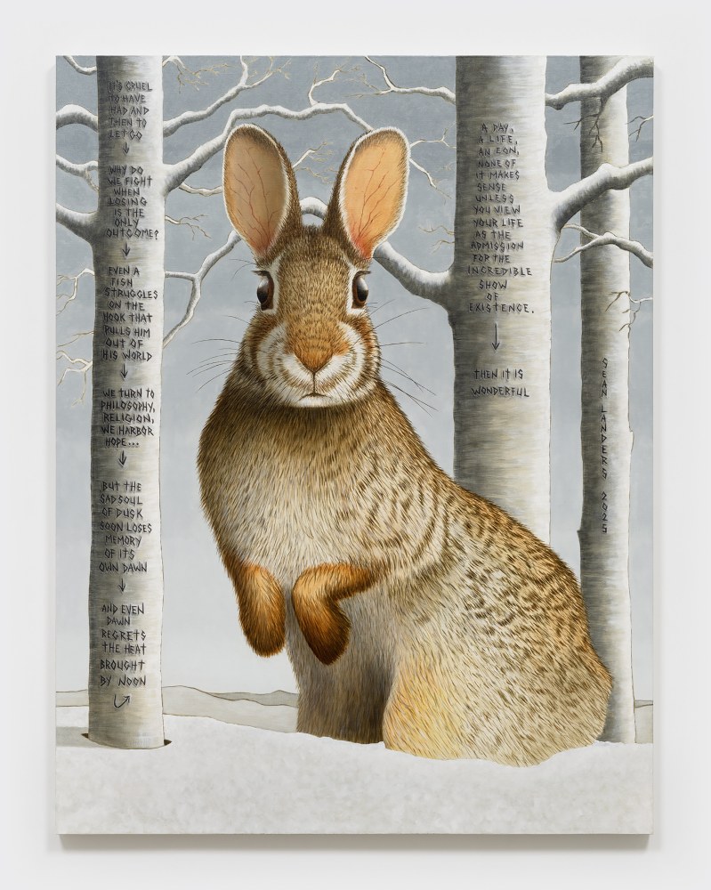 Sean Landers

Price of Admission

2025

Oil on linen

60 x 46 in

152.4 x 116.8 cm

(LS 25/024)