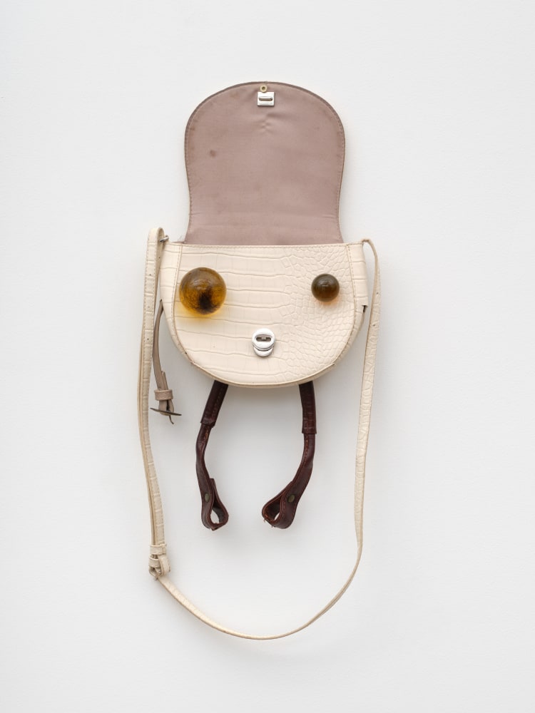 JON PYLYPCHUK

Esther Moorehouse, 2025

Faux leather purse, resin, hair

24 x 10 x 3 in
61 x 25.4 x 7.6 cm

&amp;nbsp;

$5,000