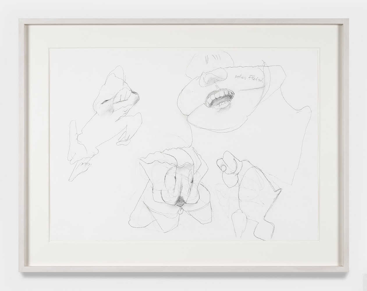 Maria Lassnig

Untitled

ca. 2000-2009

Pencil on paper

26 x 33.9 inches

66.1 x 86.1 cm

(ML 24/028)