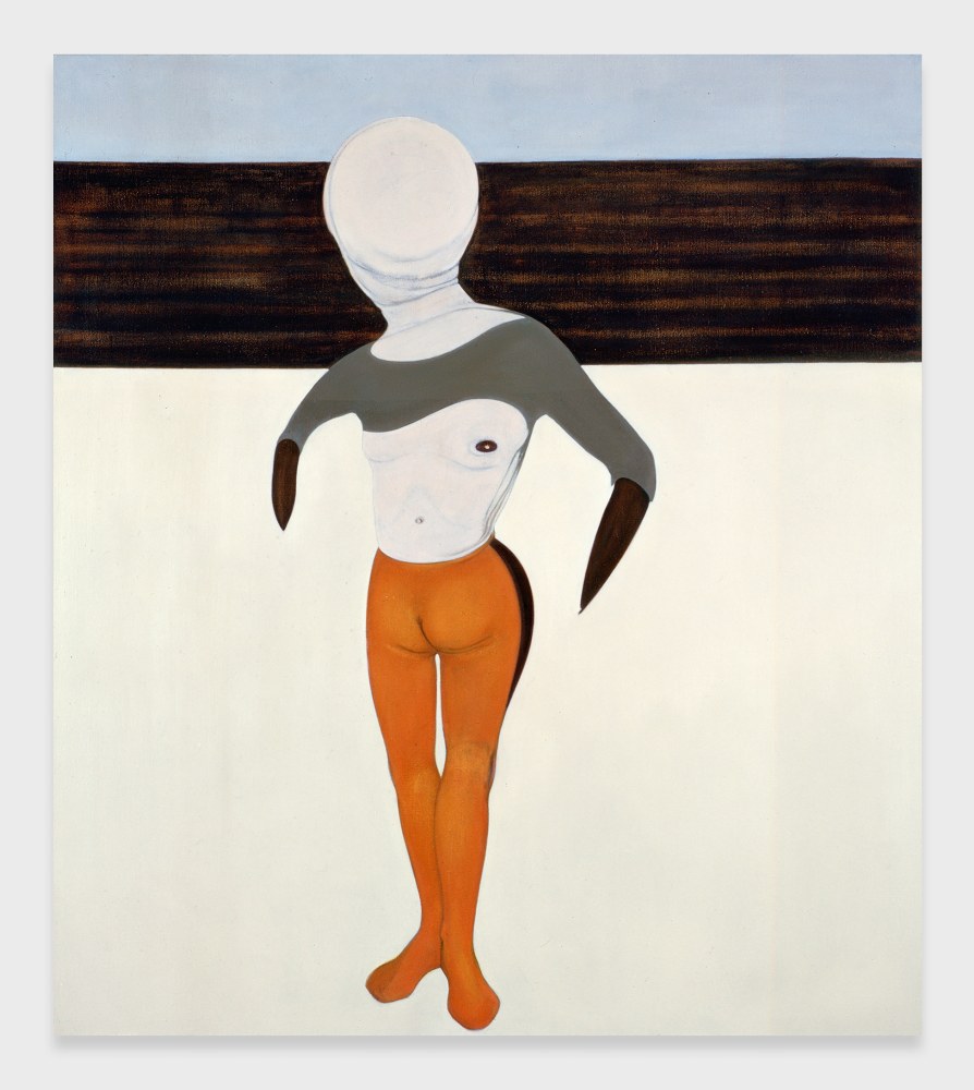 Nicola Tyson

Figure and Ploughed Field

1994

Oil on linen

56 x 50 inches

142.2 x 127 cm

(NT 94/029)