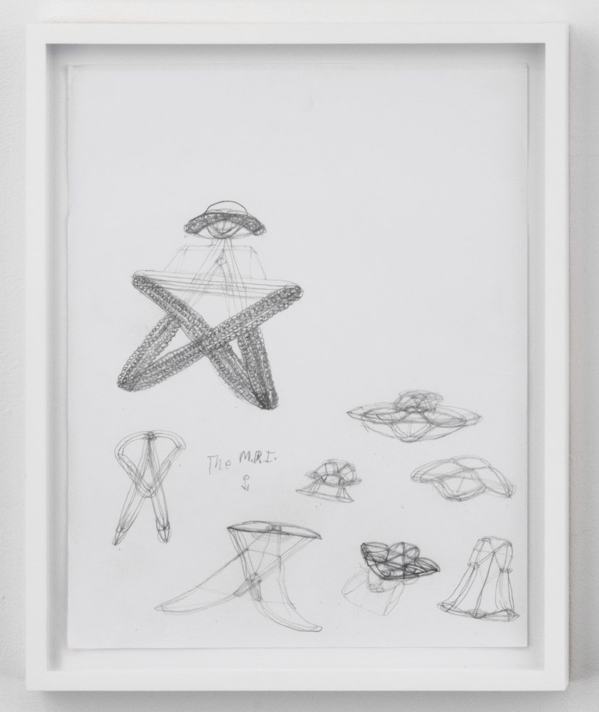 PATRICIA SATTERWHITE
The MRI
1998-2001
Graphite on paper
11 by 8 1/2 in. 27.9 by 21.6 cm.
MI&amp;amp;N 16398