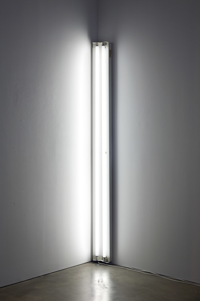 Dan Flavin

White around a Corner, 1965

Cool white fluorescent light, edition 1 of 3, fabricated during the artist&amp;#39;s lifetime

96 &amp;times; 4 &amp;frac12; &amp;times; 4 inches (243.8 &amp;times; 11.4 &amp;times; 10.2 cm)

Courtesy Paula Cooper Gallery, New York

&amp;copy; 2023 Stephen Flavin / Artists Rights Society (ARS), New York