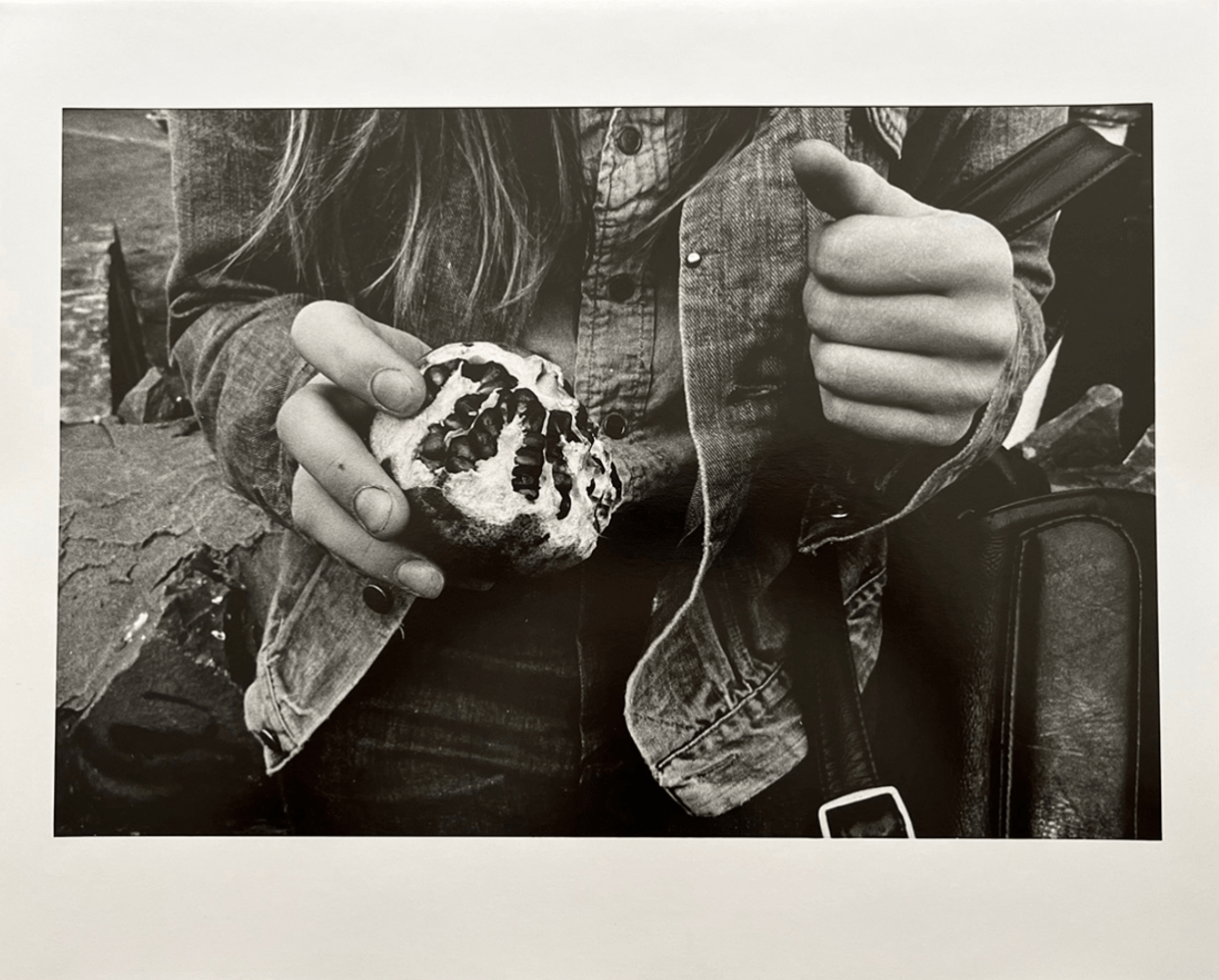 Pomegranate Seeds, Wilkes-Barre, December, 1974

gelatin silver print

16 x 20 in.