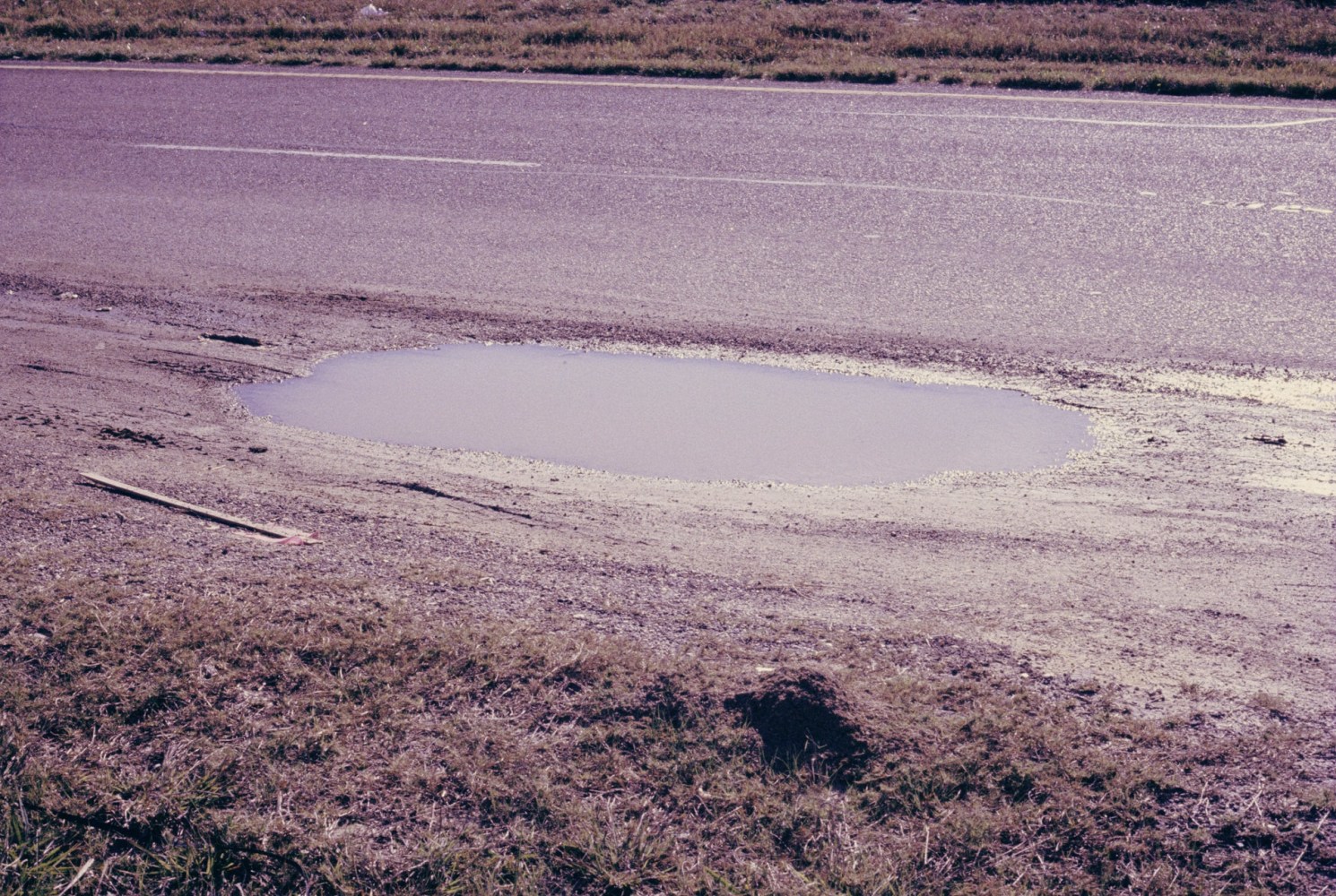 Untitled (Roadside Puddle), 2022

archival pigment print, edition of 3 + 2 AP

12&amp;nbsp;&amp;times; 18 in. / 30.5&amp;nbsp;&amp;times; 45.7 cm