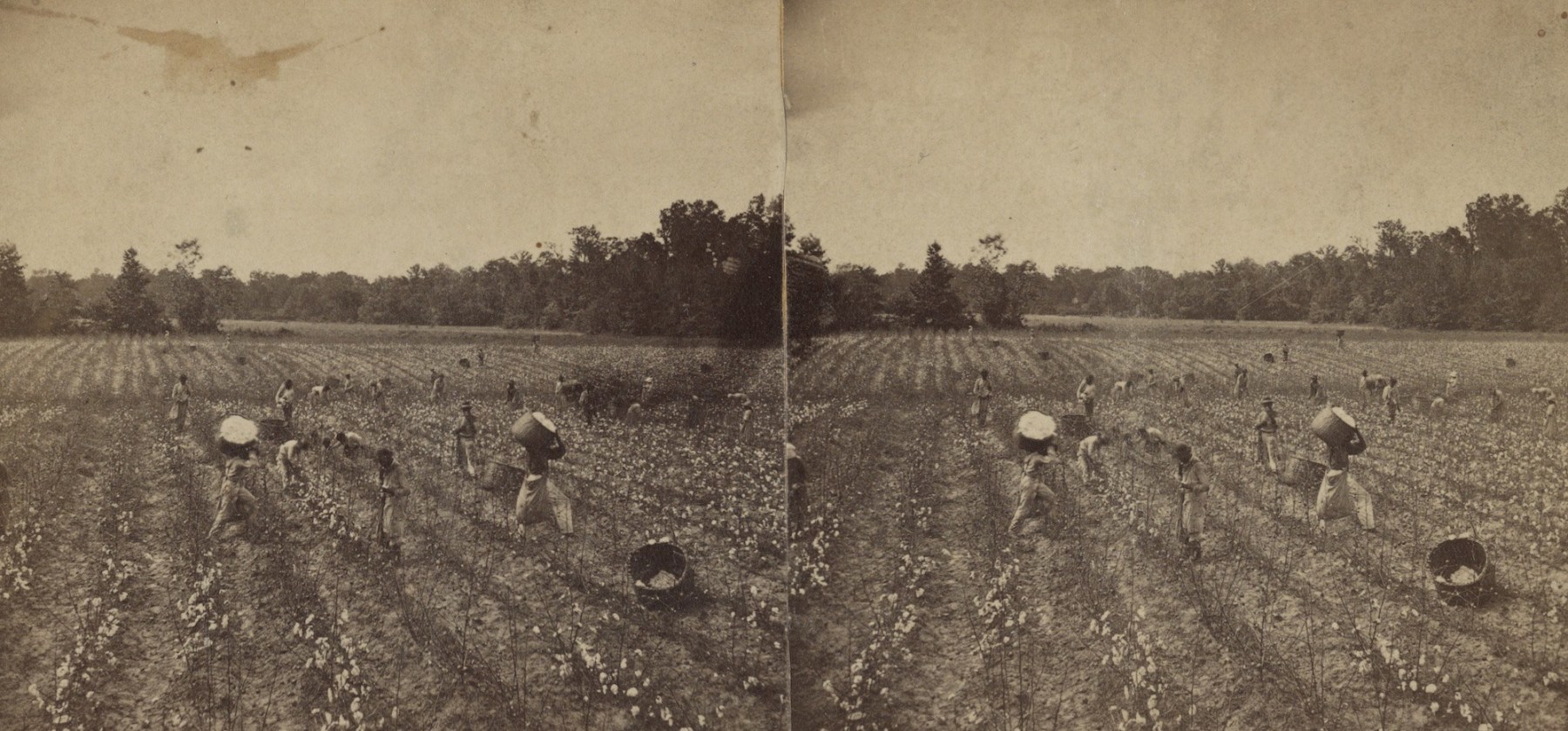 Enslaved people picking cotton near Montgomery, Alabama, 1860&amp;rsquo;s (Courtesy Library of Congress)