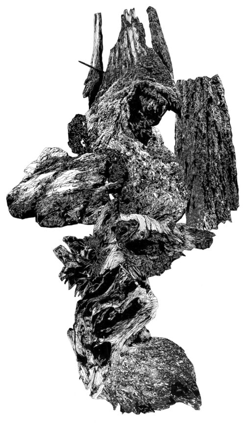 Sarah Ahmad
Fractured Cosmos VI
2019
Pen and ink drawing on vellum
​36 x 60&amp;nbsp;in.