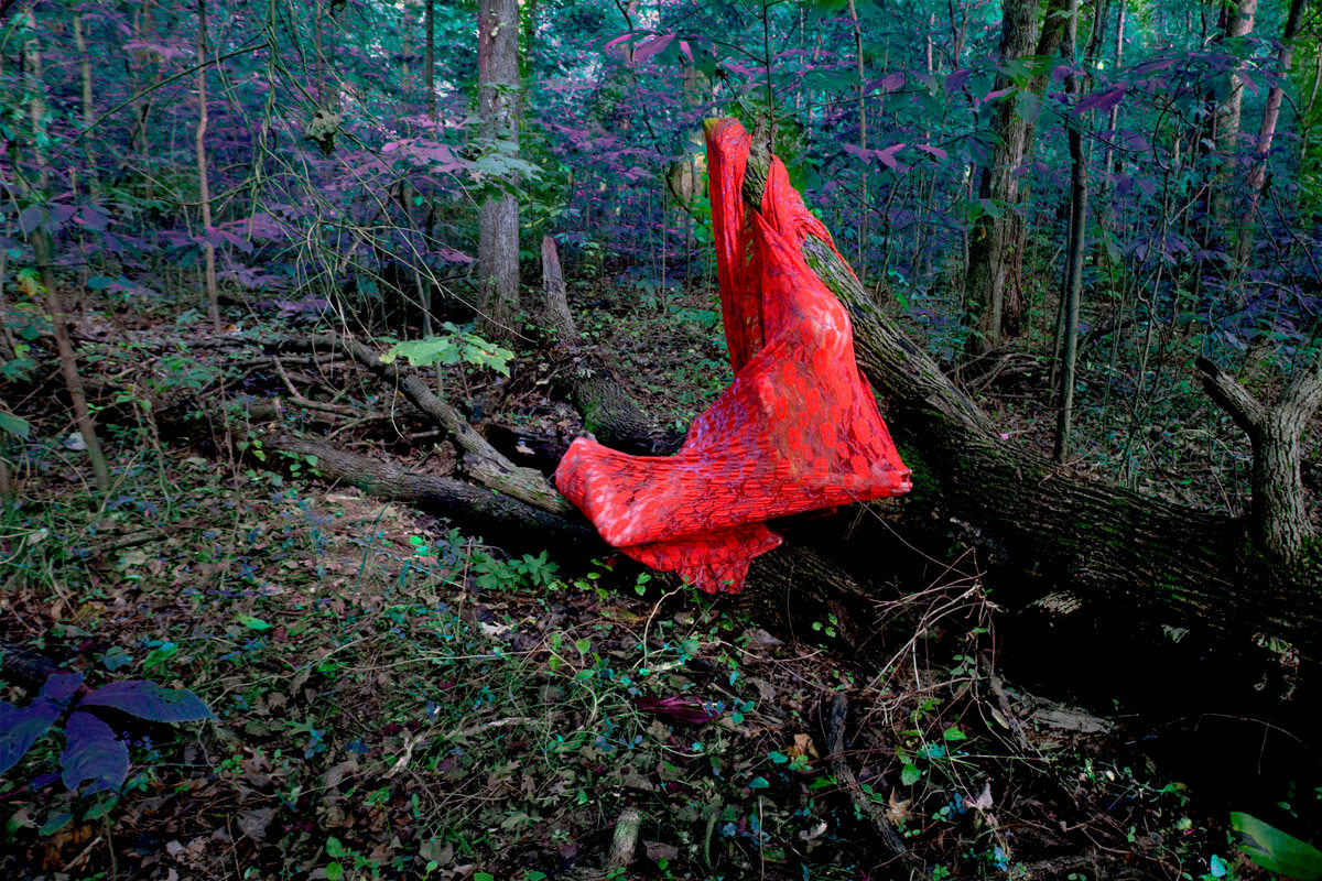 Sarah Ahmad
From the series &amp;#39;Bol&amp;#39; (4)
2014 - 2020
Photography
​36 x 48&amp;nbsp;in.