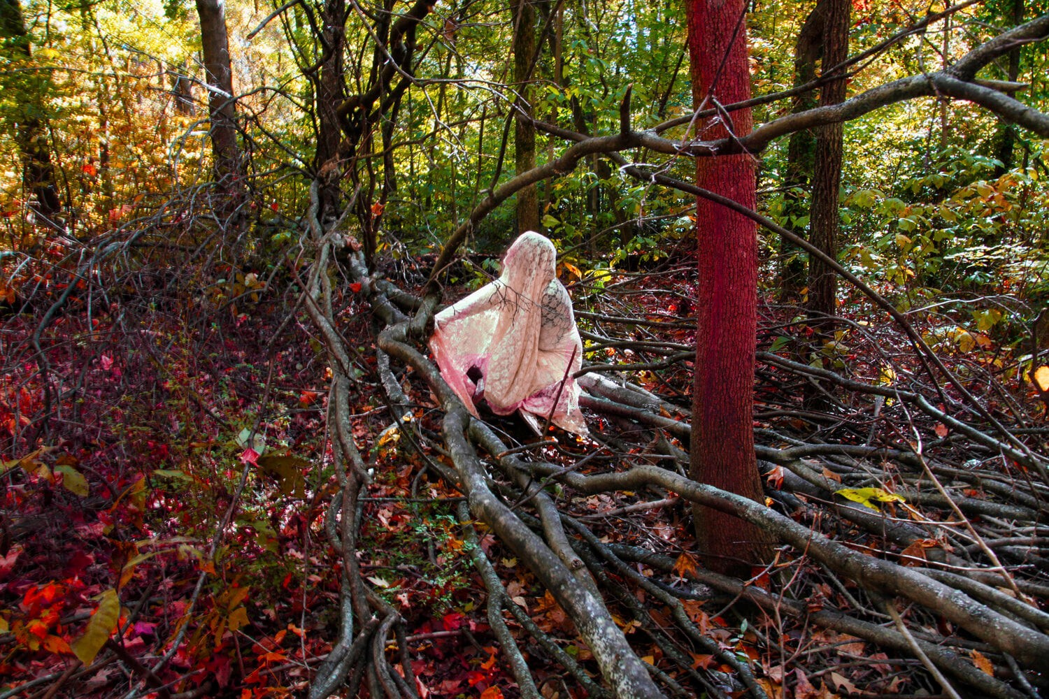 Sarah Ahmad
From the series &amp;#39;Bol&amp;#39; (8)
2014 - 2020
Photography
​36 x 48&amp;nbsp;in.