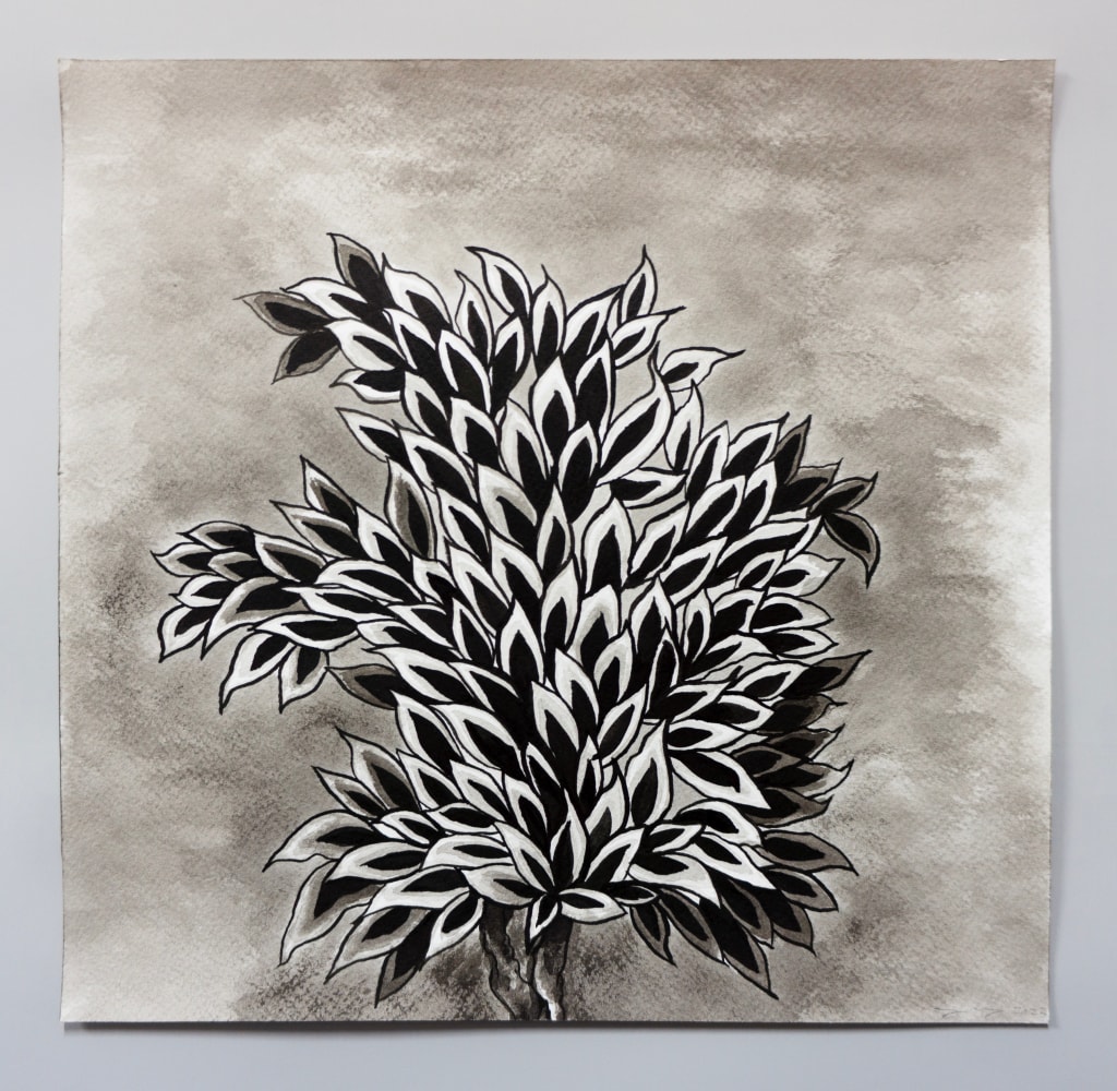 Ink drawing of an embroidery study