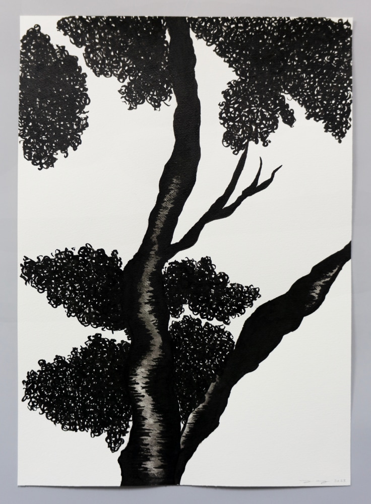 Ink drawing of an embroidery study