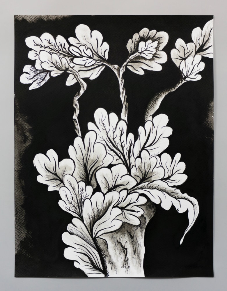 pen and ink drawing of an embroidery study