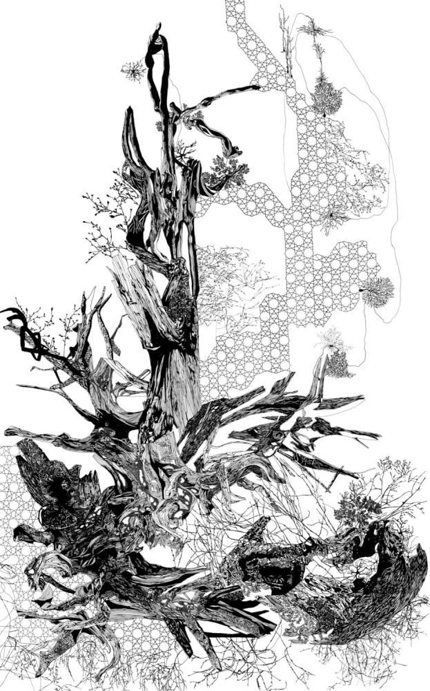 Sarah Ahmad
Fractured Cosmos II
2017
Pen and ink drawing on vellum
36 x 72 in.