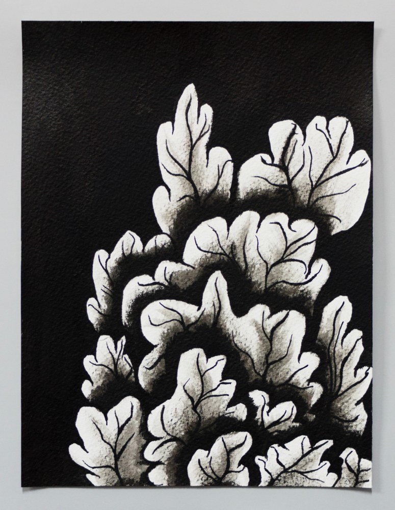 Ink drawing of an embroidery study