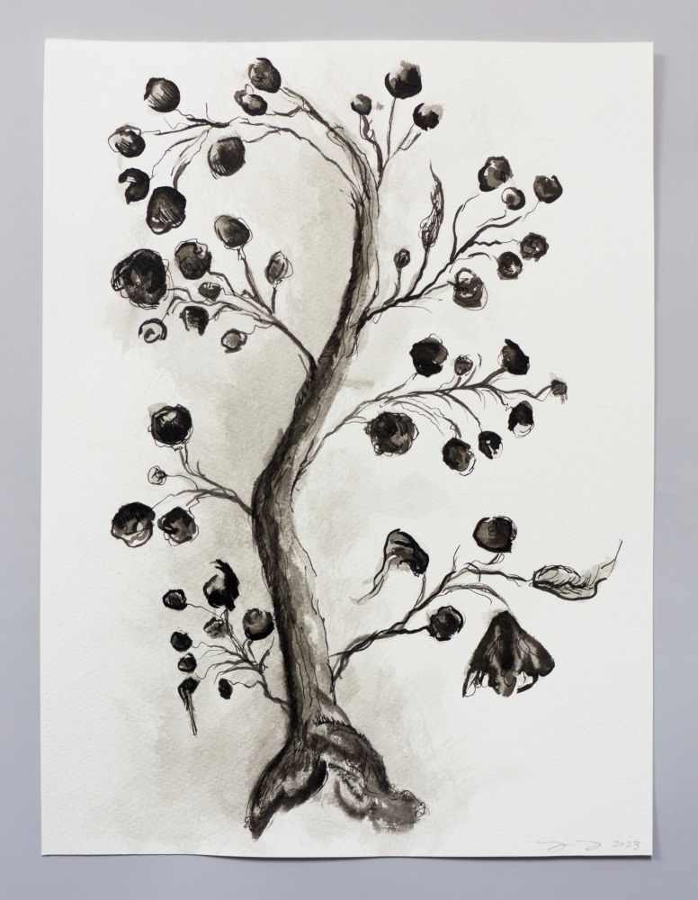 pen and ink floral drawing