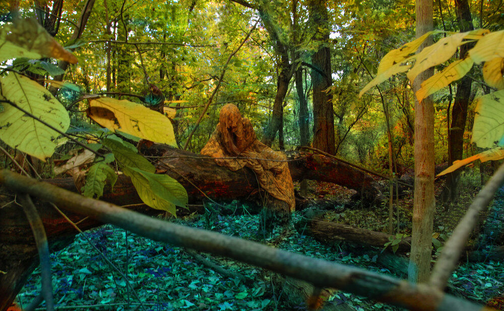 Sarah Ahmad
From the series &amp;#39;Bol&amp;#39; (13)
2014 - 2020
Photography
​36 x 48&amp;nbsp;in.