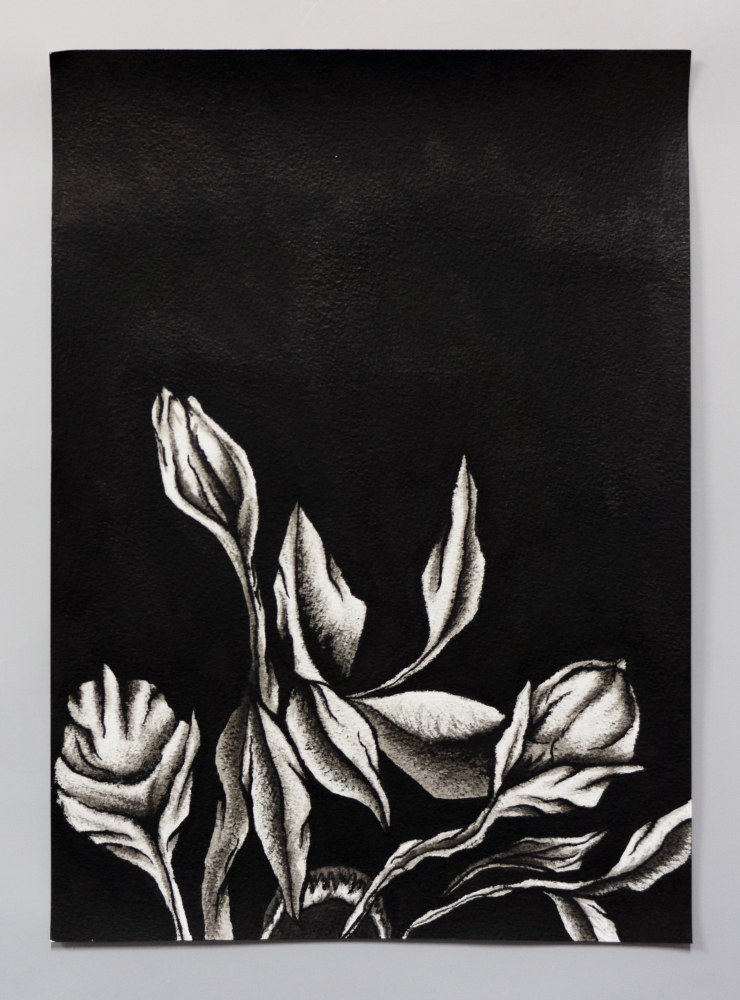 ink drawing of an embroidery study