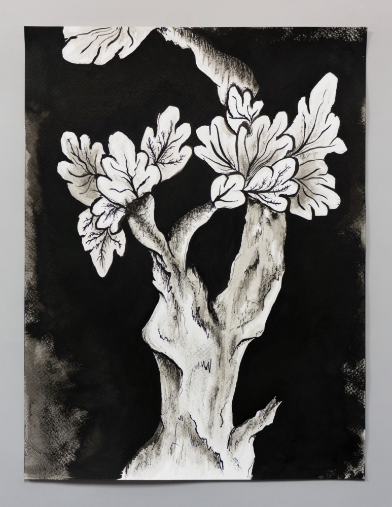 pen and ink drawing of an embroidery study