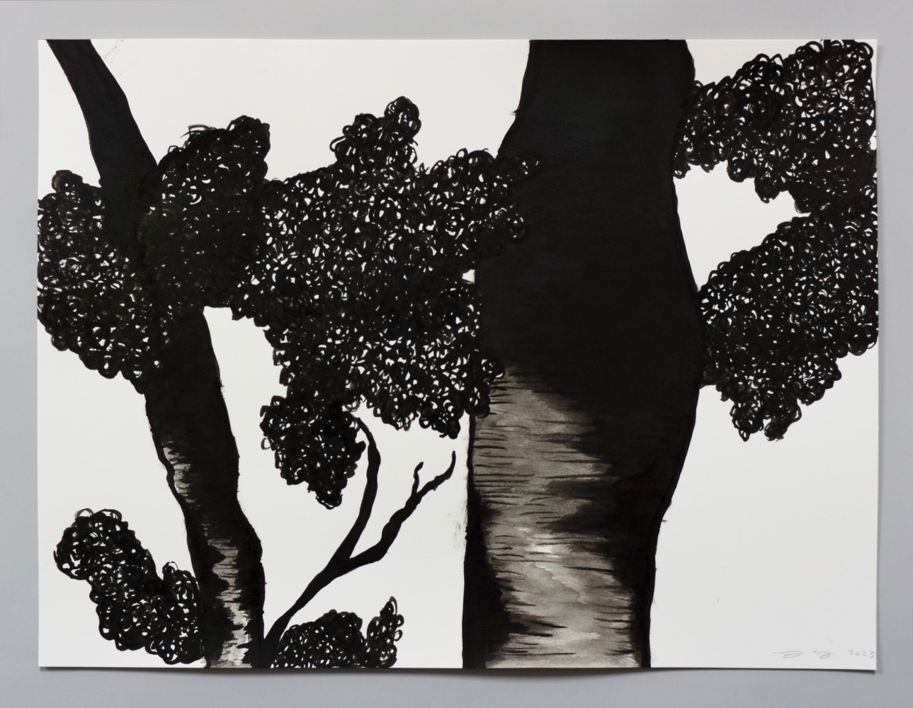 Ink drawing of an embroidery study