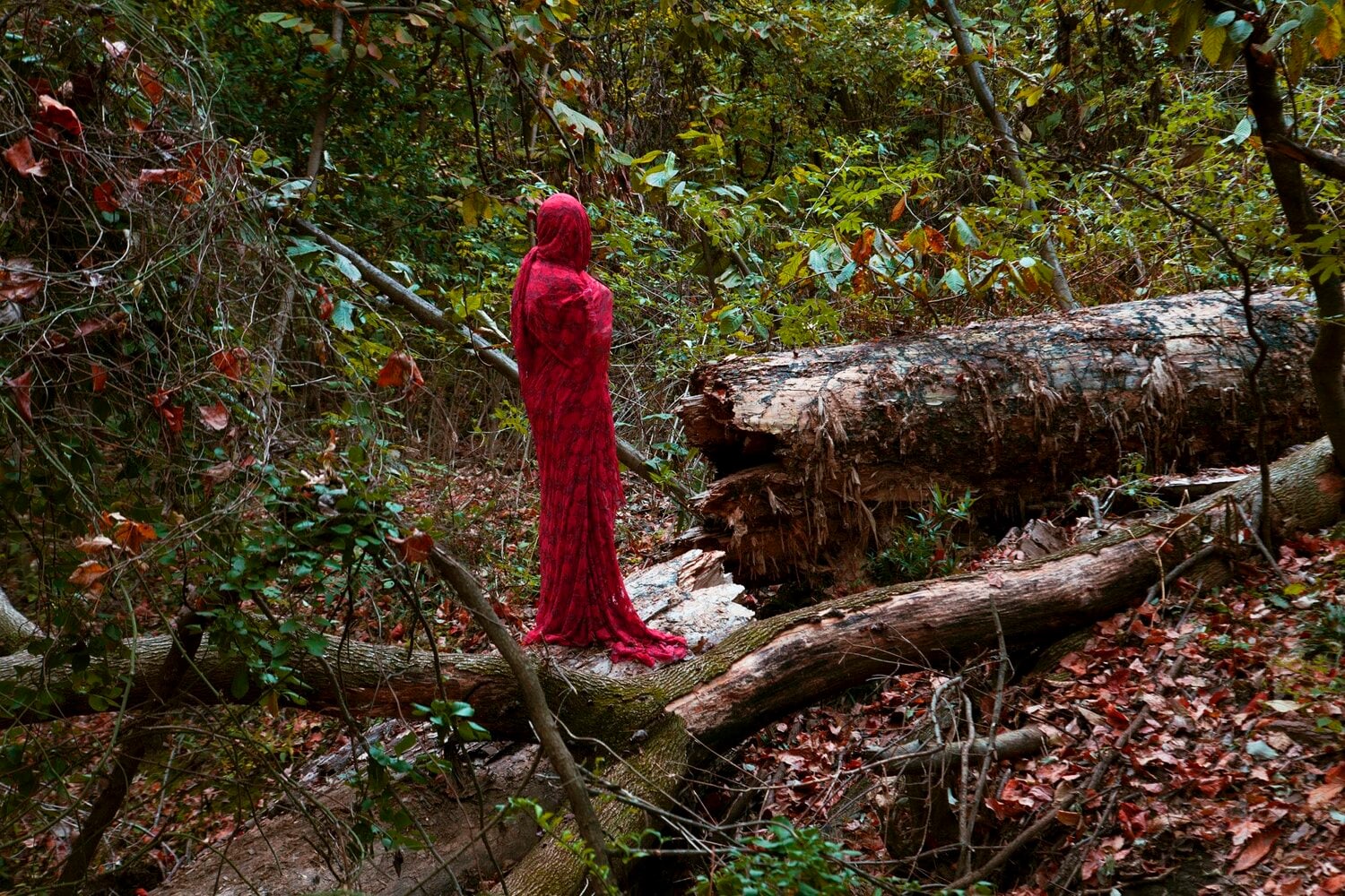 Sarah Ahmad
From the series &amp;#39;Bol&amp;#39; (2)
2014 - 2020
Photography
​36 x 48&amp;nbsp;in.