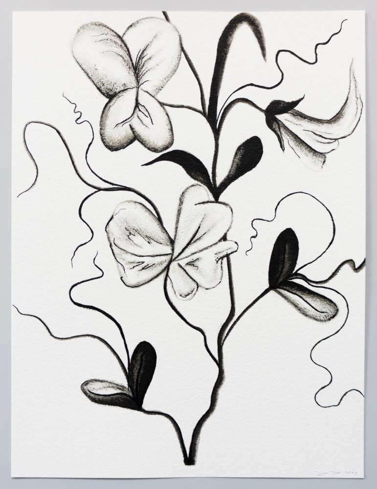 Ink drawing of an embroidery study