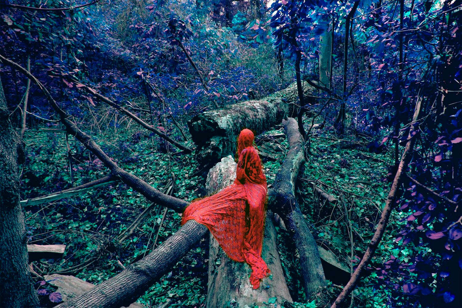 Sarah Ahmad
From the series &amp;#39;Bol&amp;#39; (1)
2014 - 2020
Photography
​36 x 48&amp;nbsp;in.