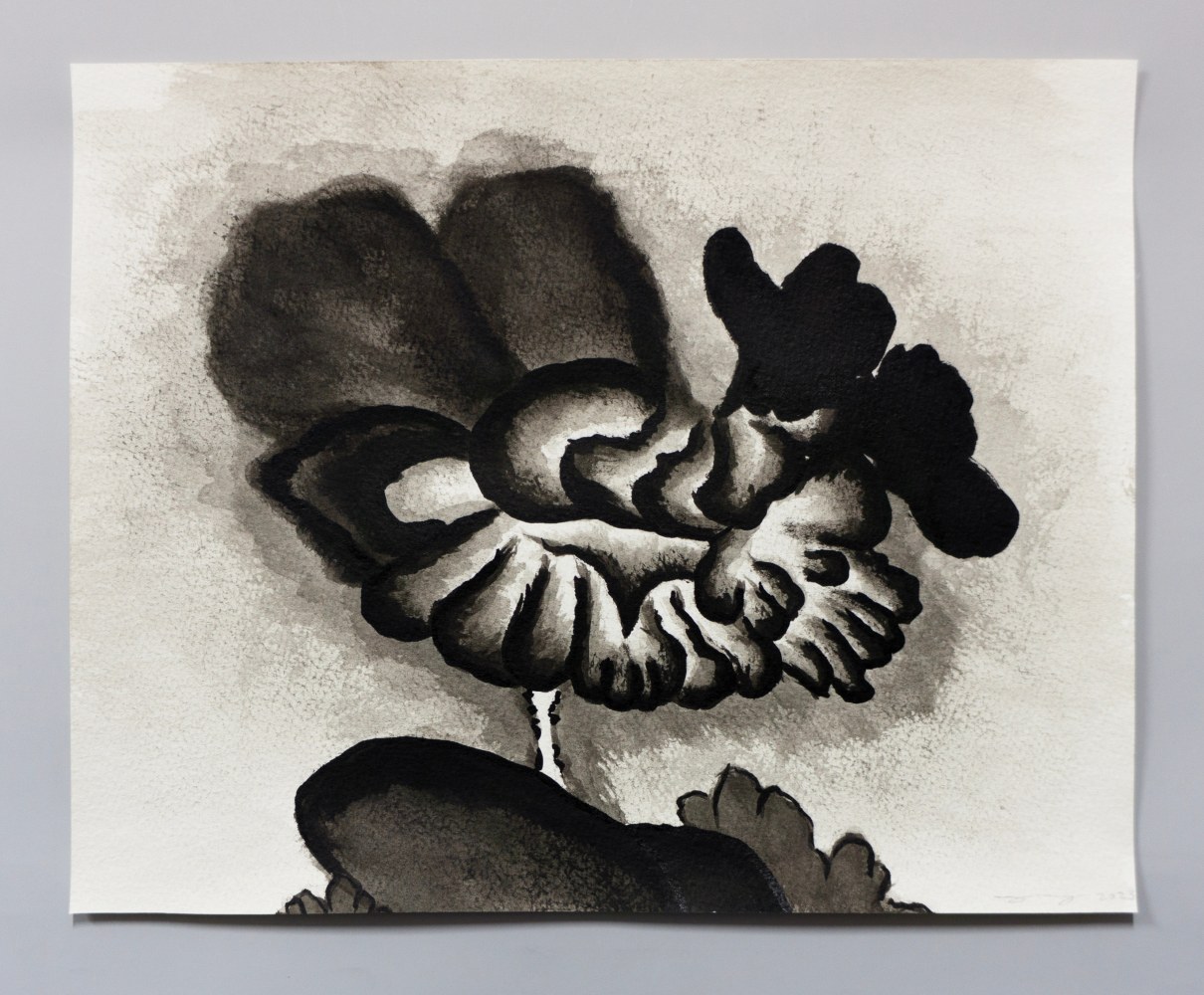 Ink drawing of an embroidery study