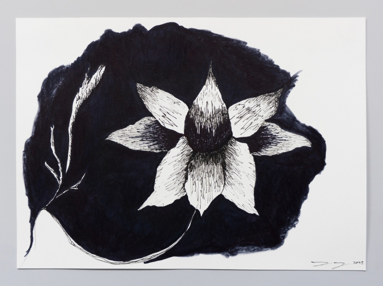 Pen and marker drawing from an embroidery study