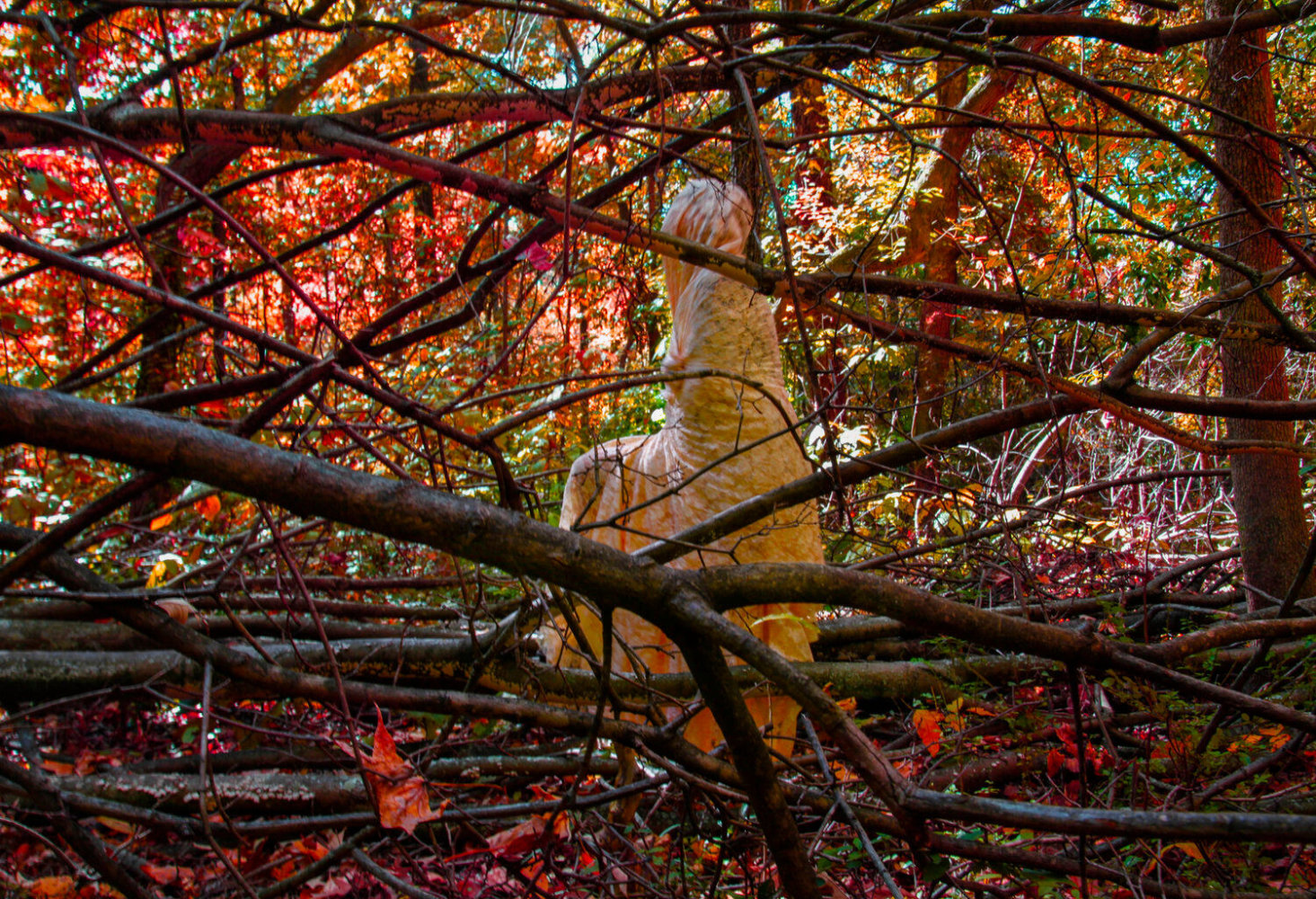 Sarah Ahmad
From the series &amp;#39;Bol&amp;#39; (10)
2014 - 2020
Photography
​36 x 48&amp;nbsp;in.