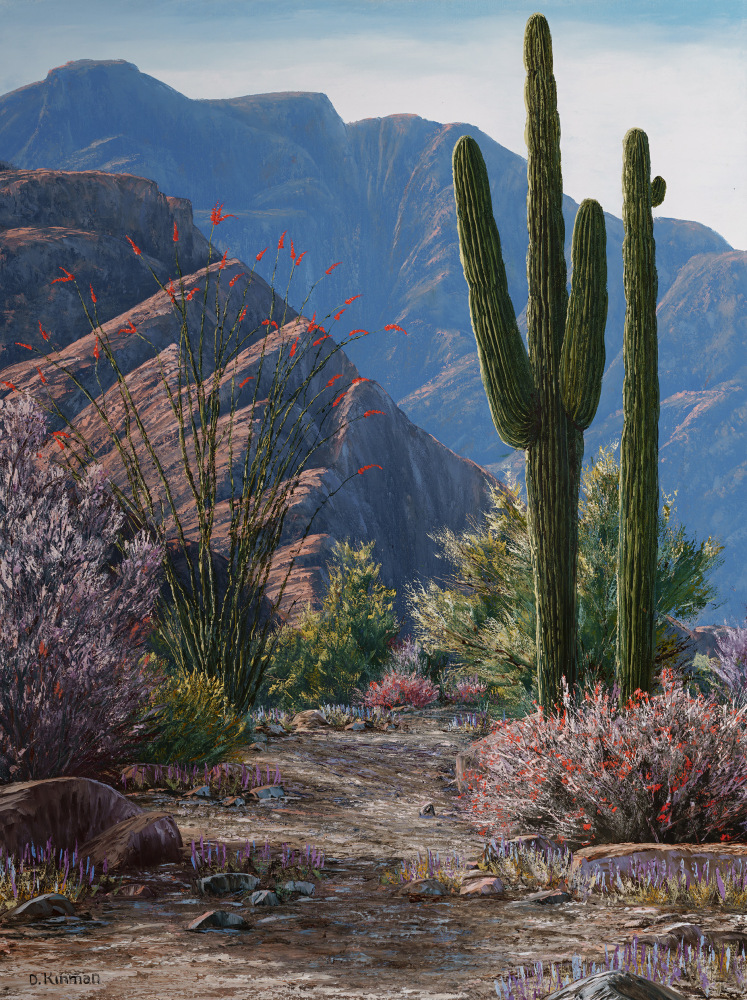 Saguaros in March, 2023
Oil on canvas
40 x 30 inches

AVAILABLE