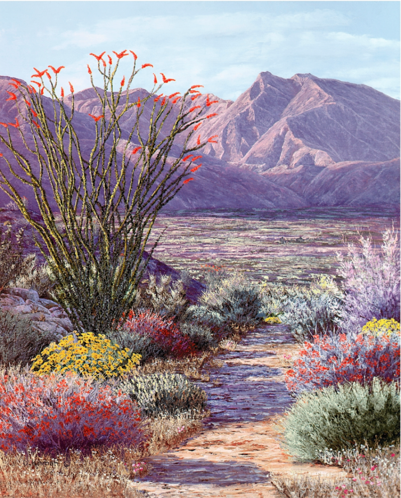 Borrego Valley Springtime,&amp;nbsp;2009
Oil on canvas
30 x 24 inches

SOLD