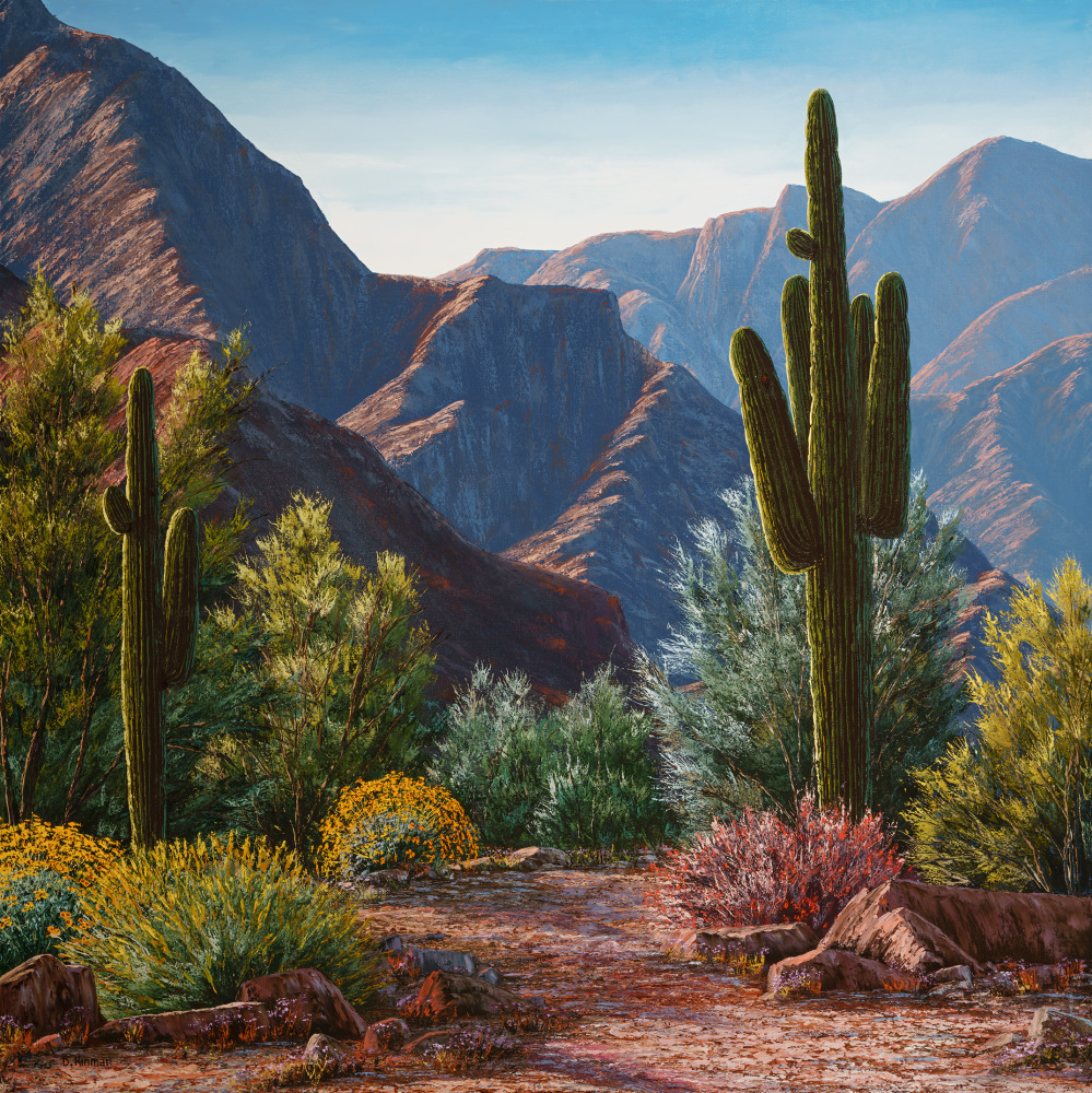 Arizona Splendor, 2024
Oil on canvas
48 x 48 inches

SOLD