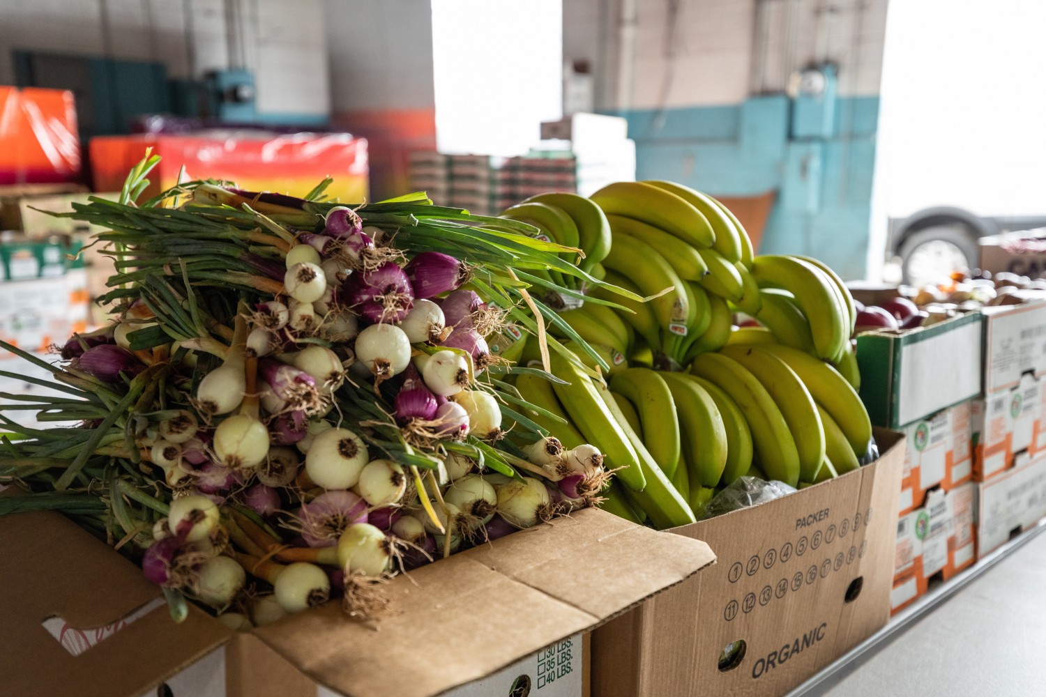 Onions and bananas provided by local farms