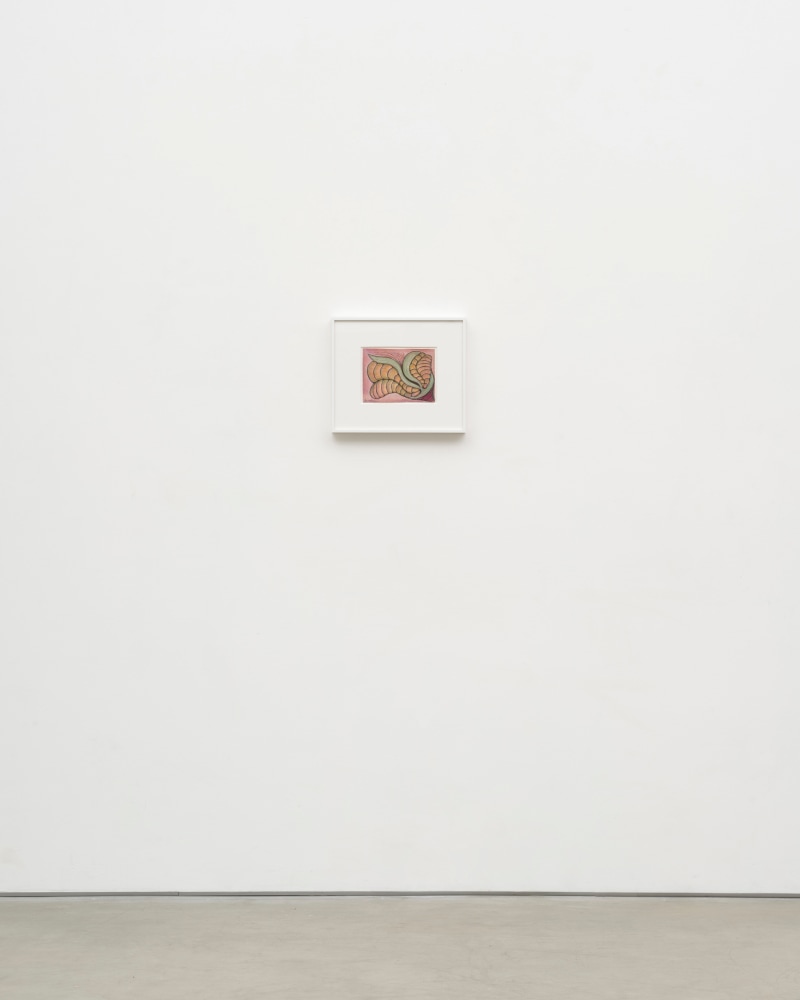 Lesley Vance &amp; Anna Zem&aacute;nkov&aacute;