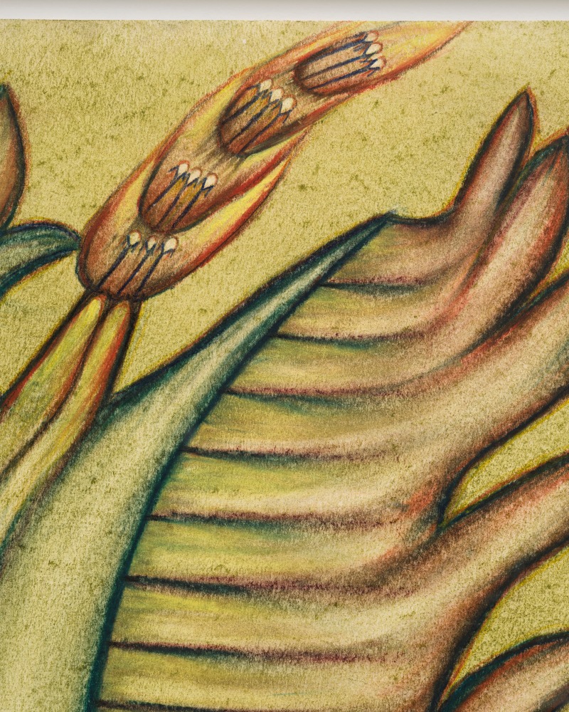 Lesley Vance &amp; Anna Zem&aacute;nkov&aacute;